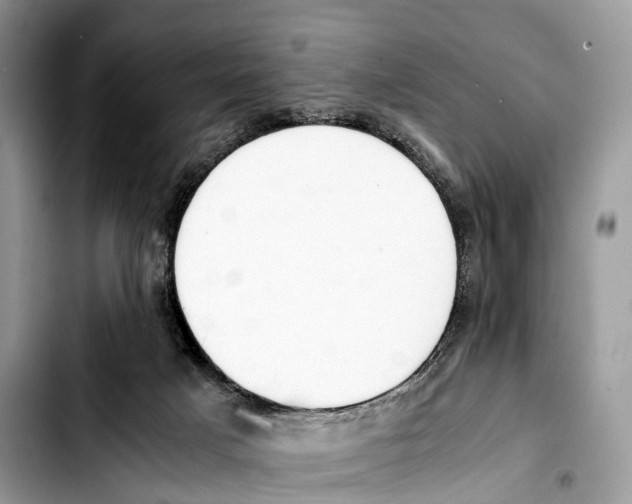 X0000103450025200810101138