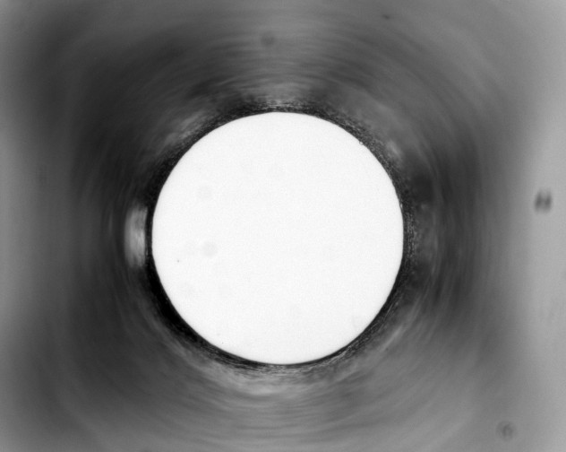 X0000103450028200810101137