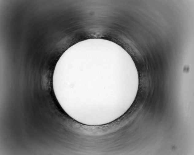 X0000103450030200810101137