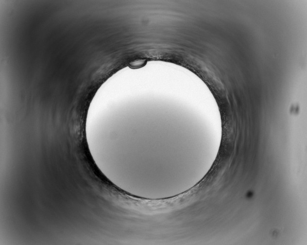 X0000103450031200810101137