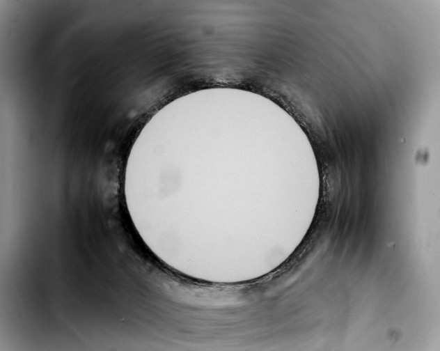 X0000103450032200810101137