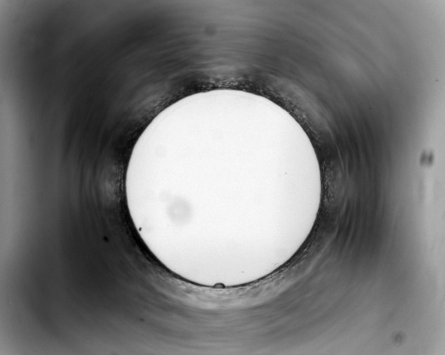 X0000103450034200810101137