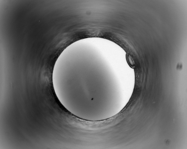 X0000103450035200810101137