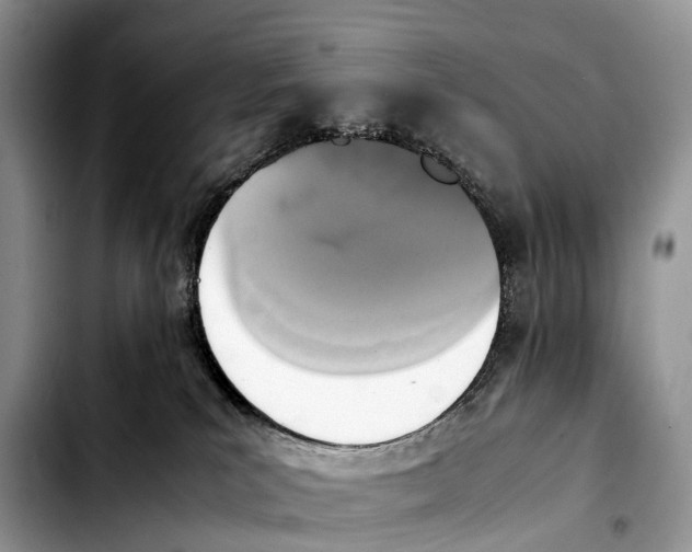 X0000103450039200810101137