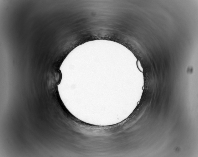 X0000103450040200810101137