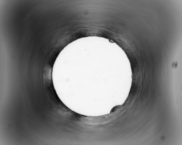 X0000103450041200810101137