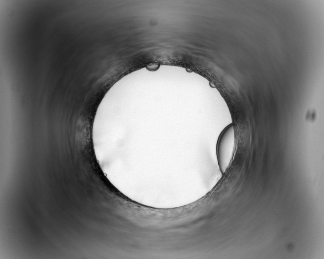 X0000103450043200810101137