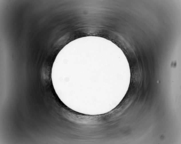 X0000103450044200810101137