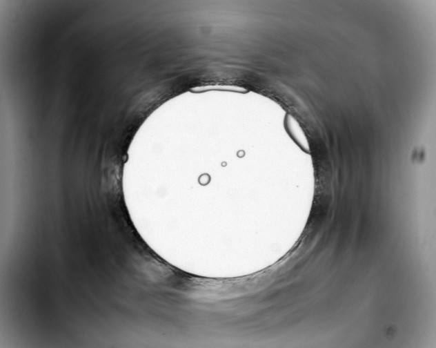 X0000103450045200810101137