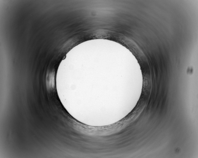 X0000103450046200810101137