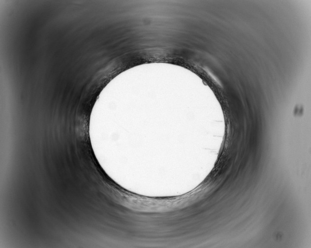 X0000103450048200810101137