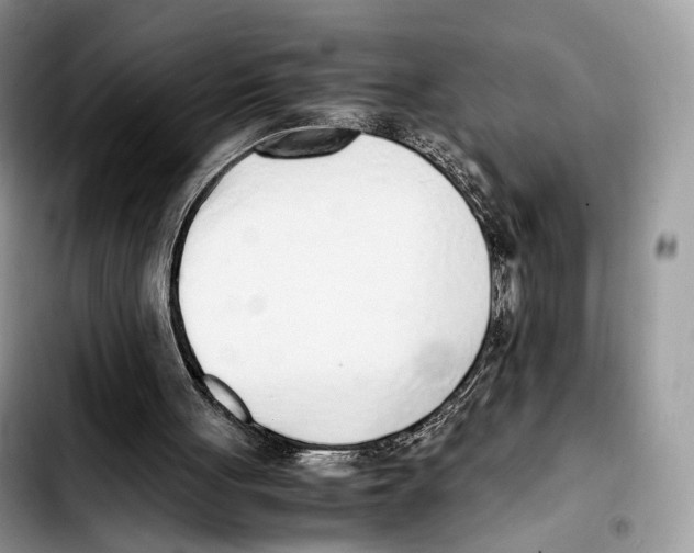 X0000103450051200810101137