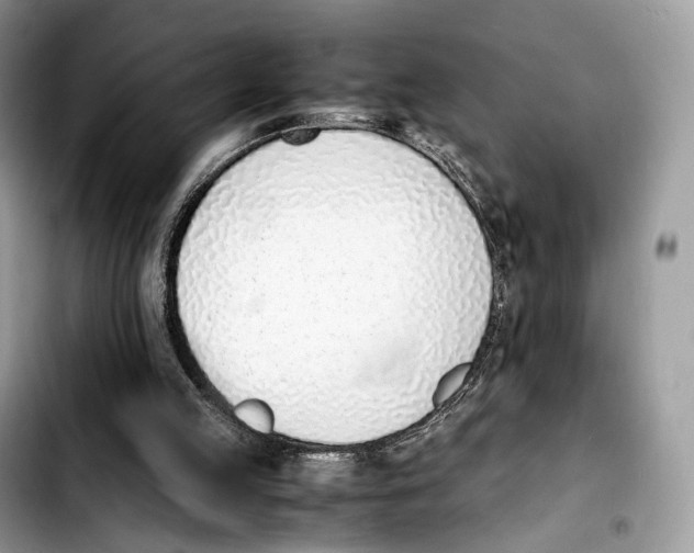 X0000103450053200810101137