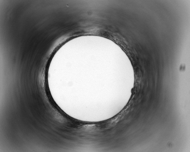 X0000103450054200810101137