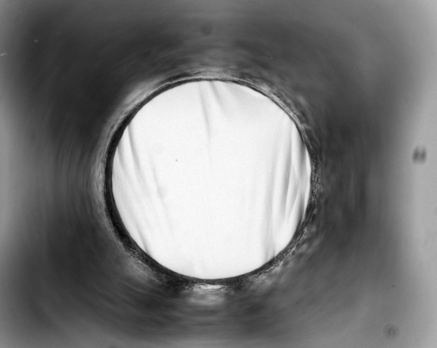 X0000103450055200810101137