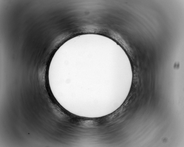 X0000103450058200810101137