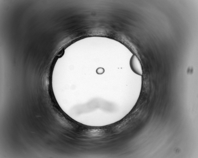 X0000103450059200810101137