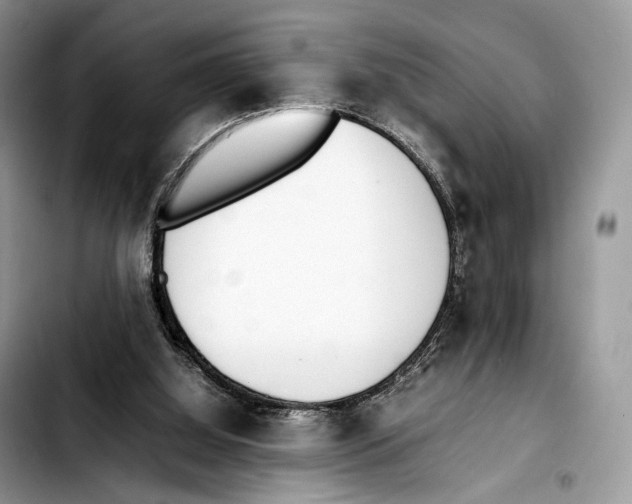 X0000103450060200810101137