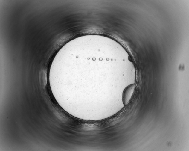 X0000103450061200810101137