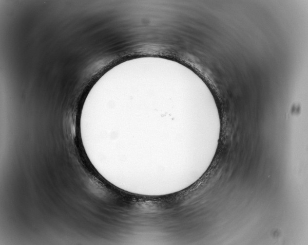 X0000103450062200810101137