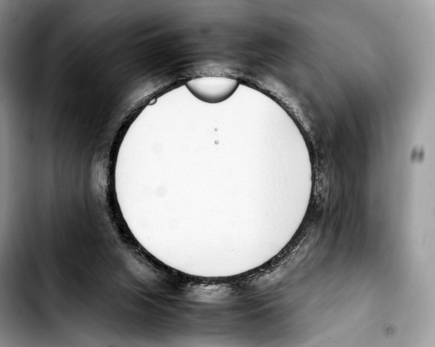 X0000103450063200810101137