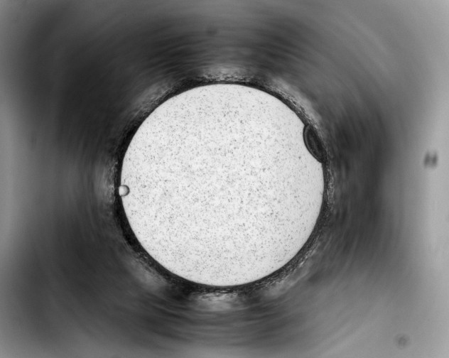 X0000103450065200810101137