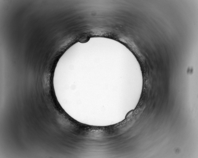 X0000103450066200810101137