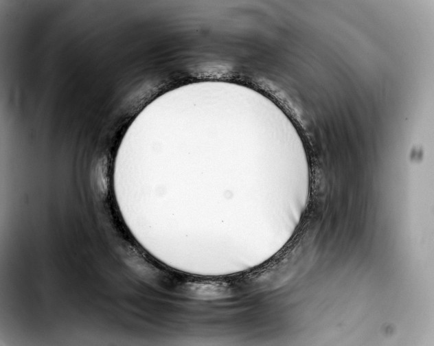 X0000103450069200810101137