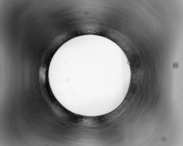 X0000103450070200810101137