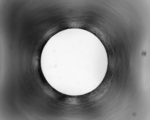 X0000103450071200810101137