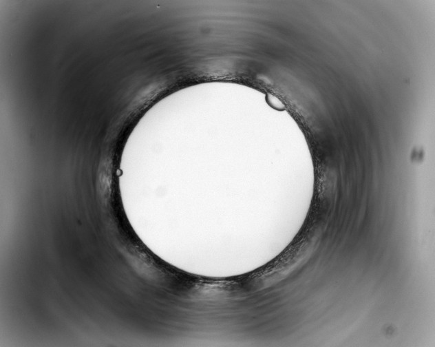 X0000103450072200810101137