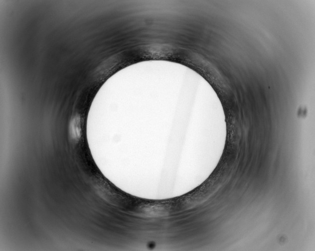 X0000103450075200810101137