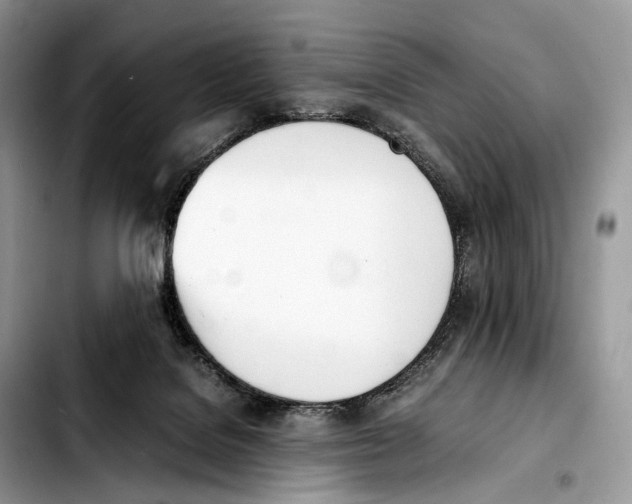 X0000103450076200810101137