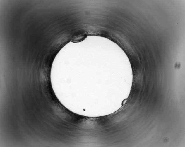 X0000103450078200810101137