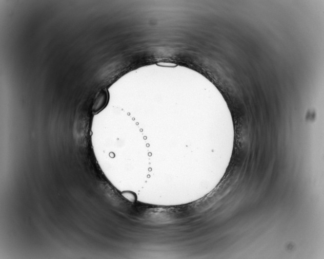 X0000103450082200810101137