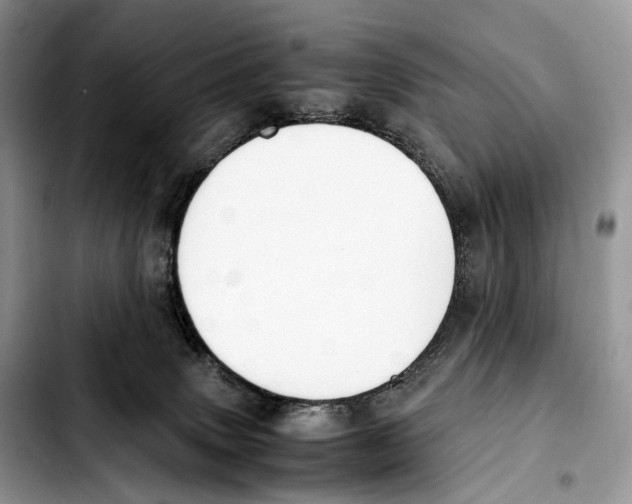 X0000103450083200810101137