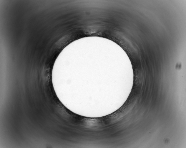 X0000103450085200810101137