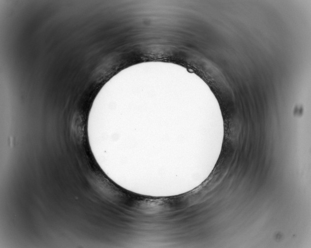 X0000103450086200810101137