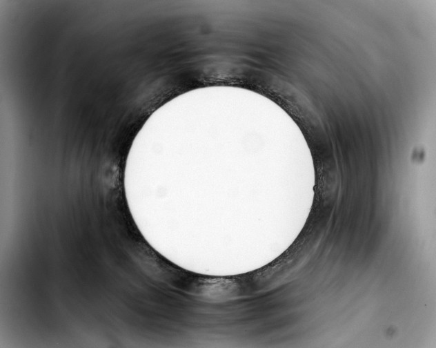 X0000103450087200810101137