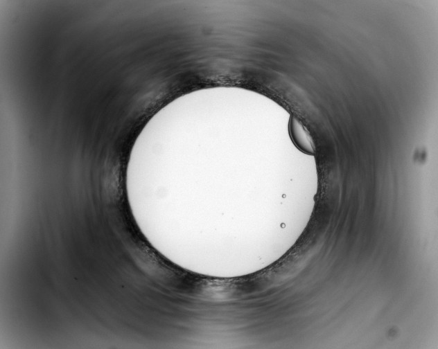 X0000103450088200810101137