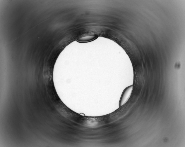 X0000103450091200810101137