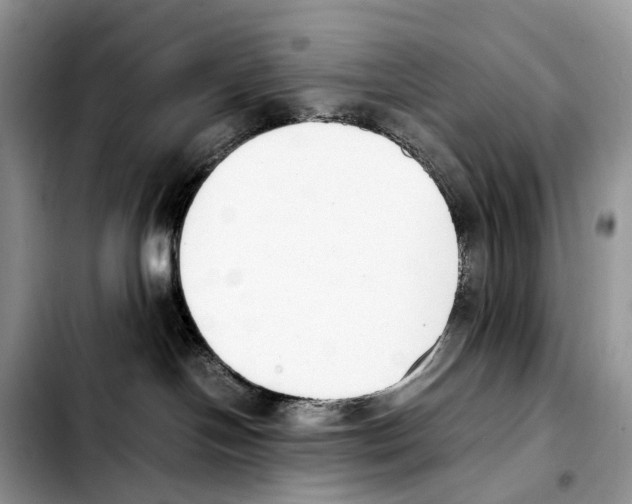 X0000103450094200810101137