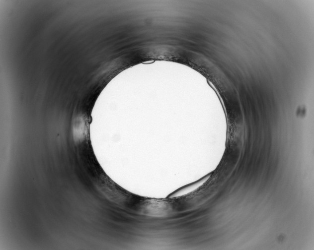 X0000103450095200810101137