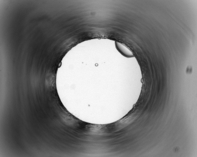 X0000103450096200810101137