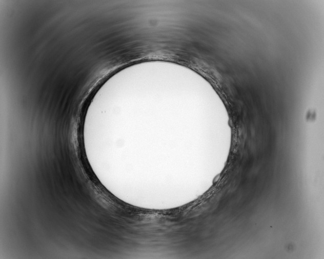 X0000103450098200810101137