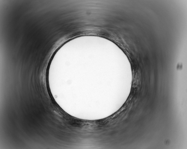 X0000103450099200810101136