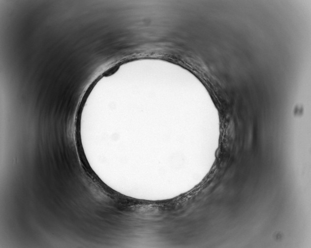 X0000103450100200810101136