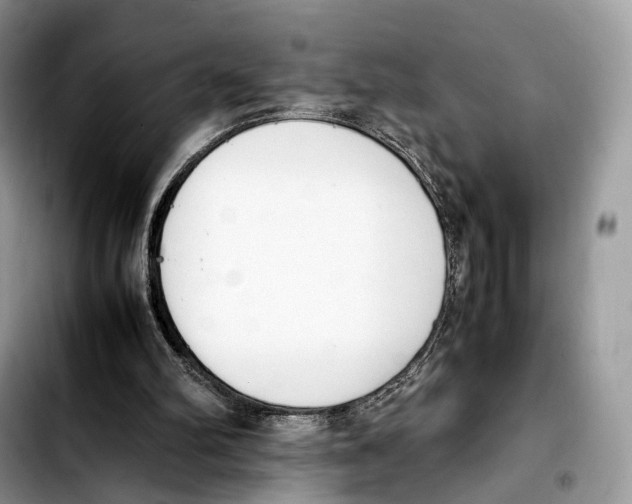 X0000103450102200810101136