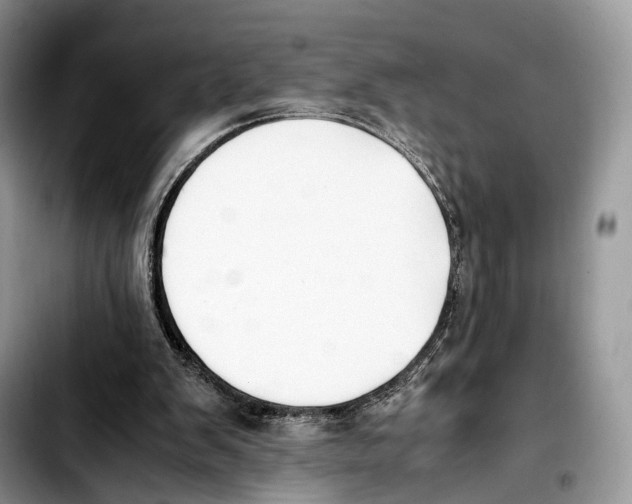 X0000103450103200810101136