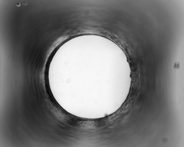 X0000103450104200810101136